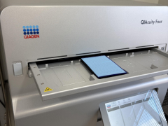 デジタルPCR検査